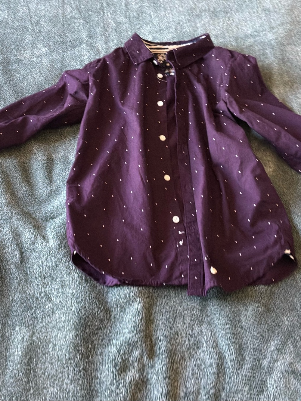 Cactus Deep Purple Dot Button-Down Shirt